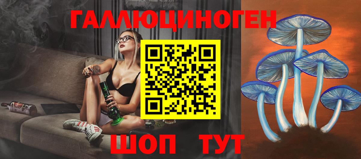 Псилоцибиновые грибы прущие грибы  Вход с VPN  Галлюциногенные грибы прущие грибы  Кинель 